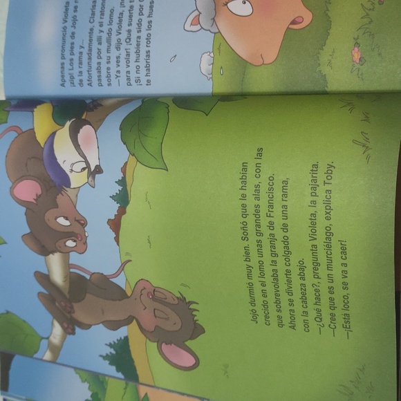 Beautiful Illustrated Children Book Spanish - Picture 3 of 4